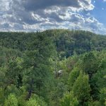 Hike and a Pint: Rough Trail at Red River Gorge