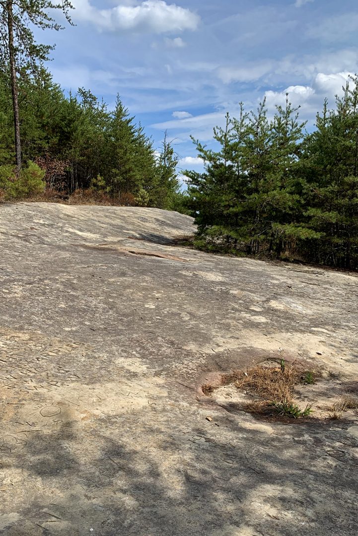 limestone rock path along rough trail at red river gorge in Kentucky